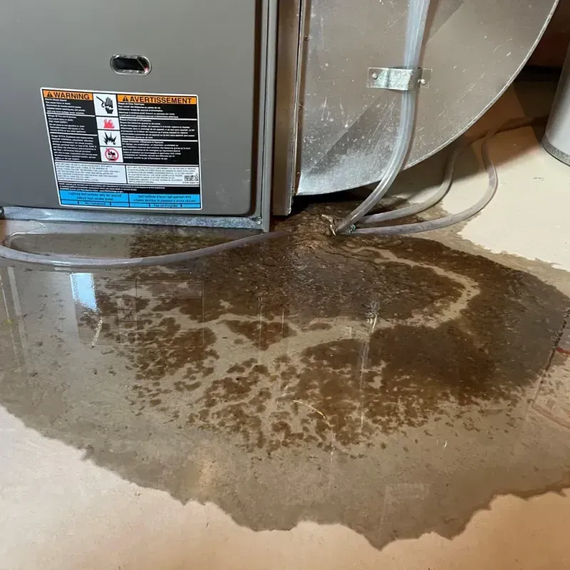 Appliance Leak Cleanup in Salem, IN